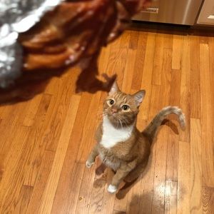 Meet your Posher, Michelle